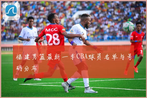 福建男篮最新一季CBA球员名单与号码分布