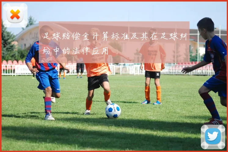 足球赔偿金计算标准及其在足球纠纷中的法律应用