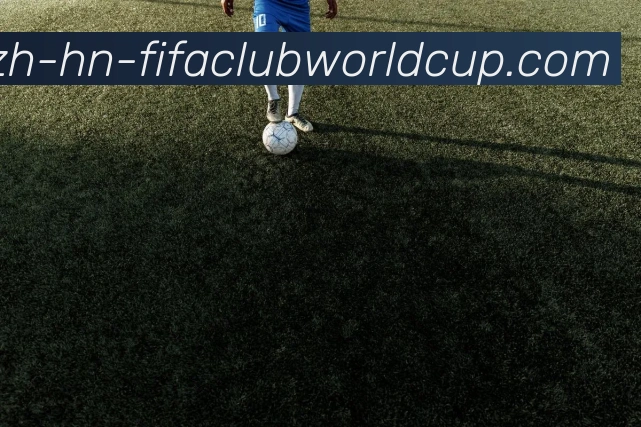 世界杯赛程服务体系